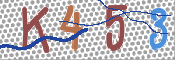 この文字を入力してください