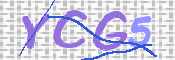 この文字を入力してください