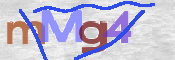 この文字を入力してください