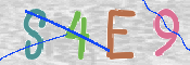 この文字を入力してください