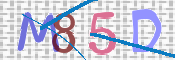 この文字を入力してください