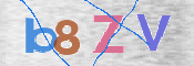 この文字を入力してください