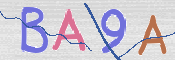 この文字を入力してください