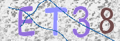 この文字を入力してください