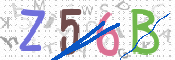 この文字を入力してください