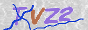 この文字を入力してください