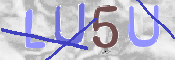 この文字を入力してください