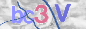この文字を入力してください