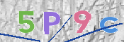 この文字を入力してください