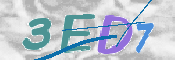 この文字を入力してください