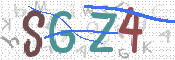 この文字を入力してください