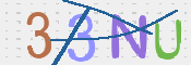 この文字を入力してください