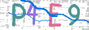 この文字を入力してください