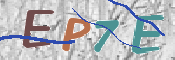 この文字を入力してください
