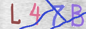 この文字を入力してください