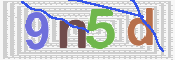この文字を入力してください