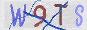 この文字を入力してください
