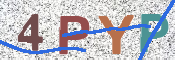 この文字を入力してください