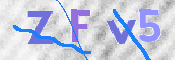 この文字を入力してください
