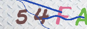 この文字を入力してください