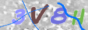 この文字を入力してください