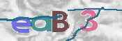 この文字を入力してください
