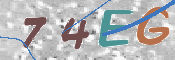この文字を入力してください