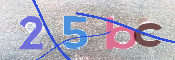 この文字を入力してください