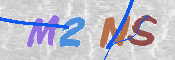 この文字を入力してください