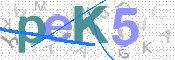 この文字を入力してください