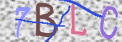 この文字を入力してください