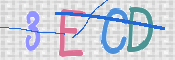 この文字を入力してください