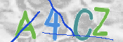この文字を入力してください