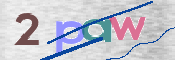 この文字を入力してください