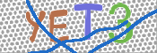 この文字を入力してください