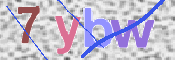 この文字を入力してください