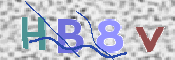 この文字を入力してください