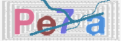 この文字を入力してください