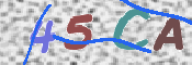 この文字を入力してください