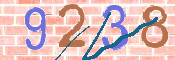 この文字を入力してください