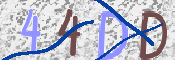 この文字を入力してください