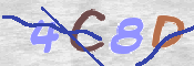 この文字を入力してください