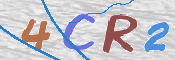 この文字を入力してください