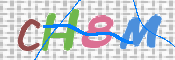 この文字を入力してください
