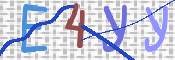 この文字を入力してください