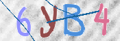 この文字を入力してください