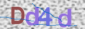 この文字を入力してください