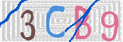 この文字を入力してください