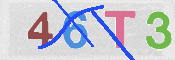 この文字を入力してください