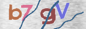 この文字を入力してください